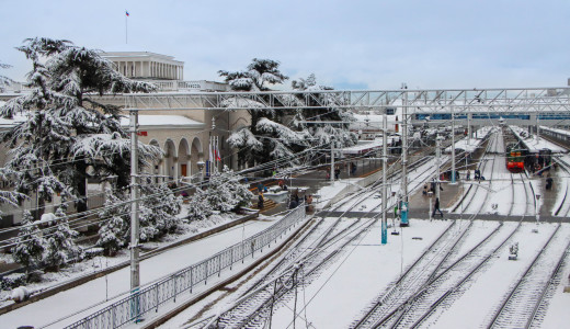 Blog